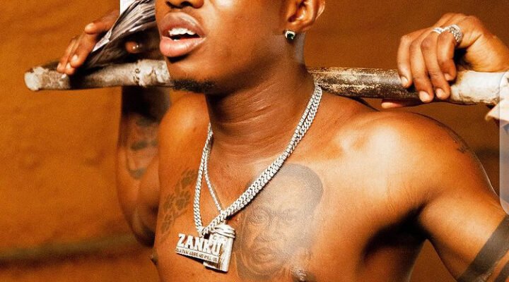 Zlatan Alubarika Ft Buju, Zlatan Buju MP3 Download