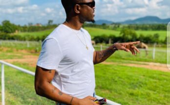 Vector, Vector - License, Vector - Licence Download MP3