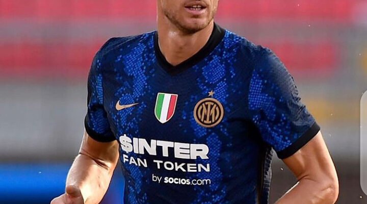 Edin Dzeko, Inter Debut