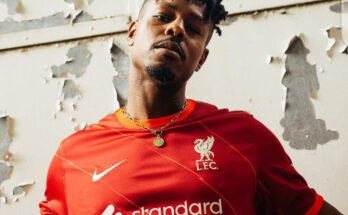 Ladipoe Ft Fireboy DML