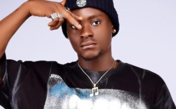 Swagsowner - Day by Day