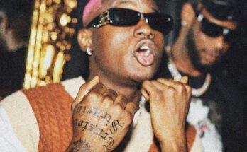 Artist profile verification